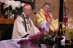 kardynał stanisław nagy